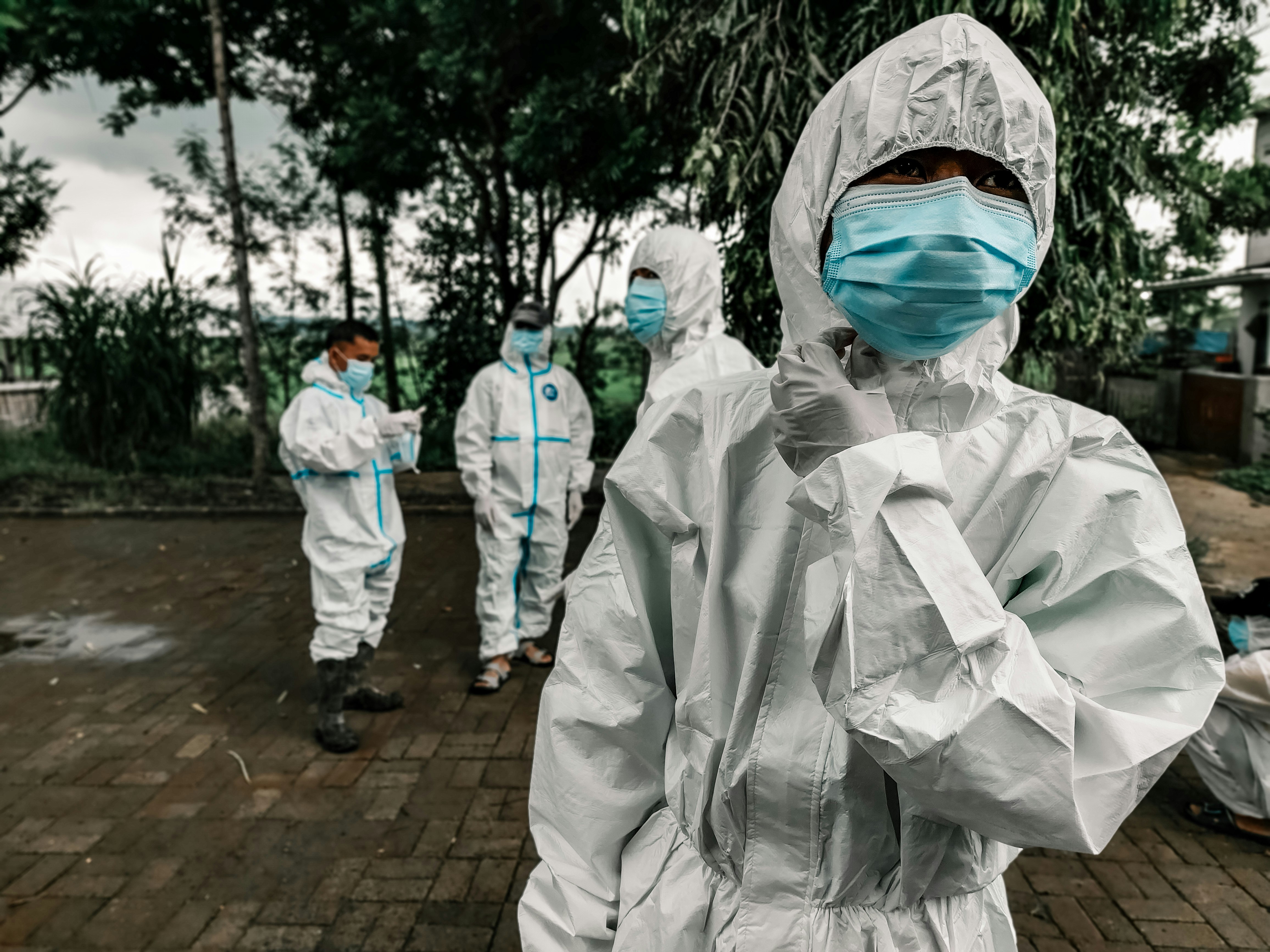 WHO Issues Global Health Emergency Alert Over Ebola Crisis in Central Africa