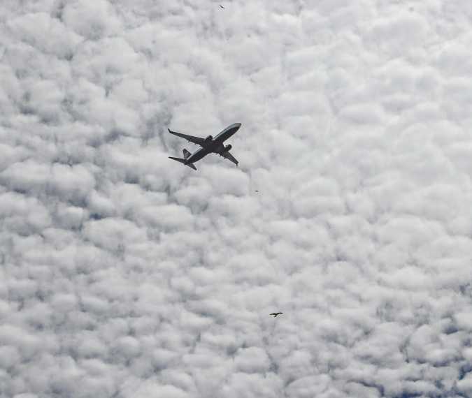 Wreckage found after Boeing plane vanished mid-flight - all passengers feared dead