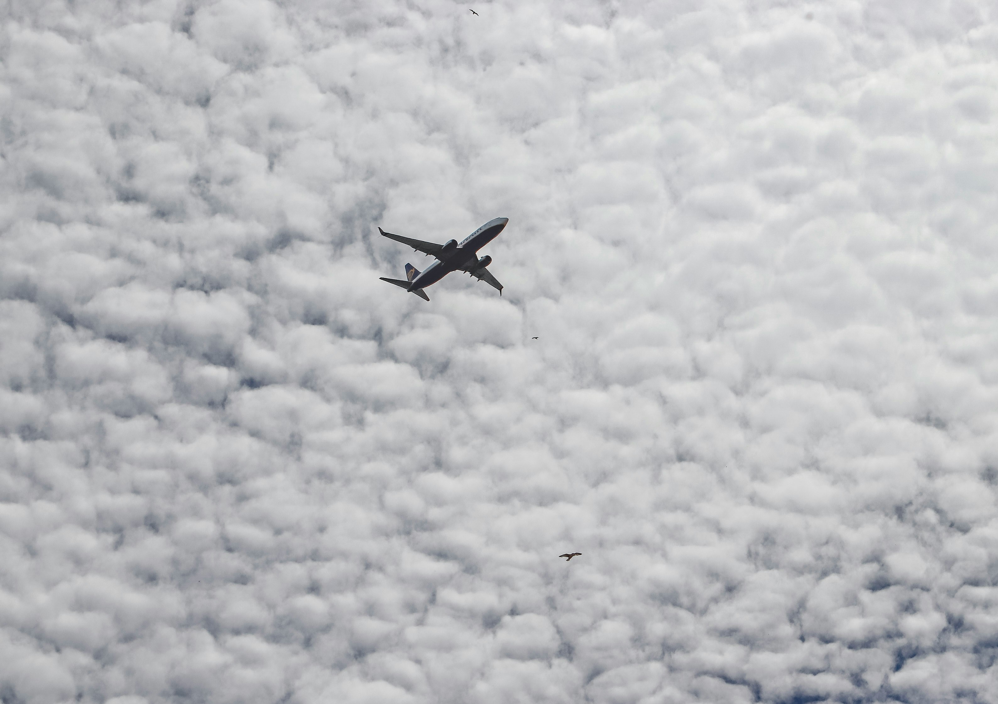 Wreckage found after Boeing plane vanished mid-flight - all passengers feared dead