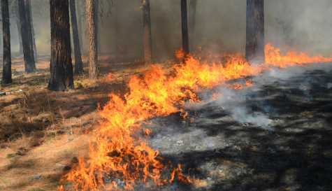 Wildfires Spread Across Sicily, Triggering Evacuations and Emergency Response