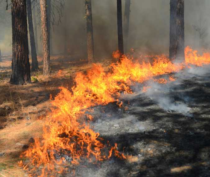 Wildfires Spread Across Sicily, Triggering Evacuations and Emergency Response