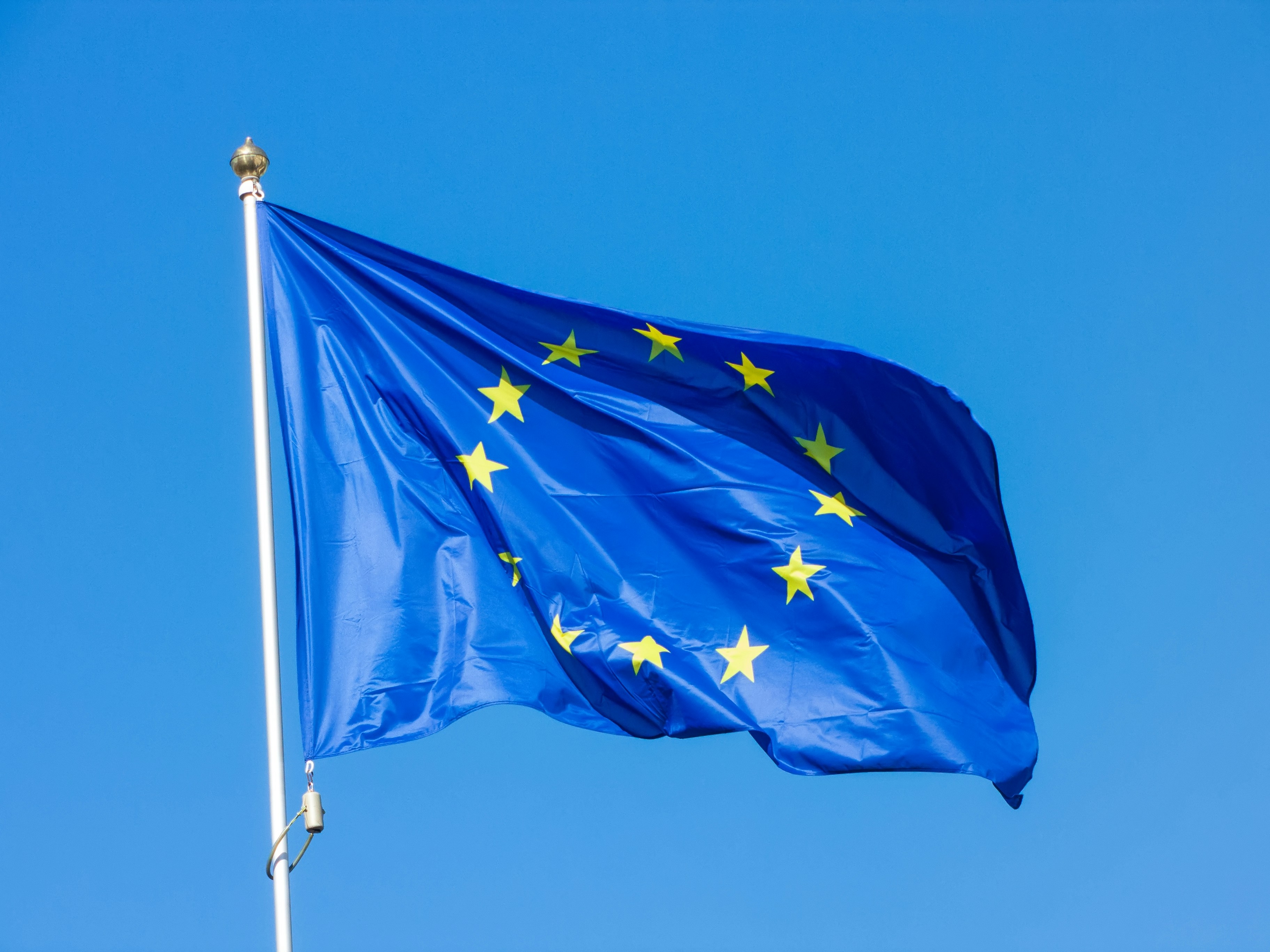 More than 99% of UK constituencies would vote to rejoin the EU, new poll shows