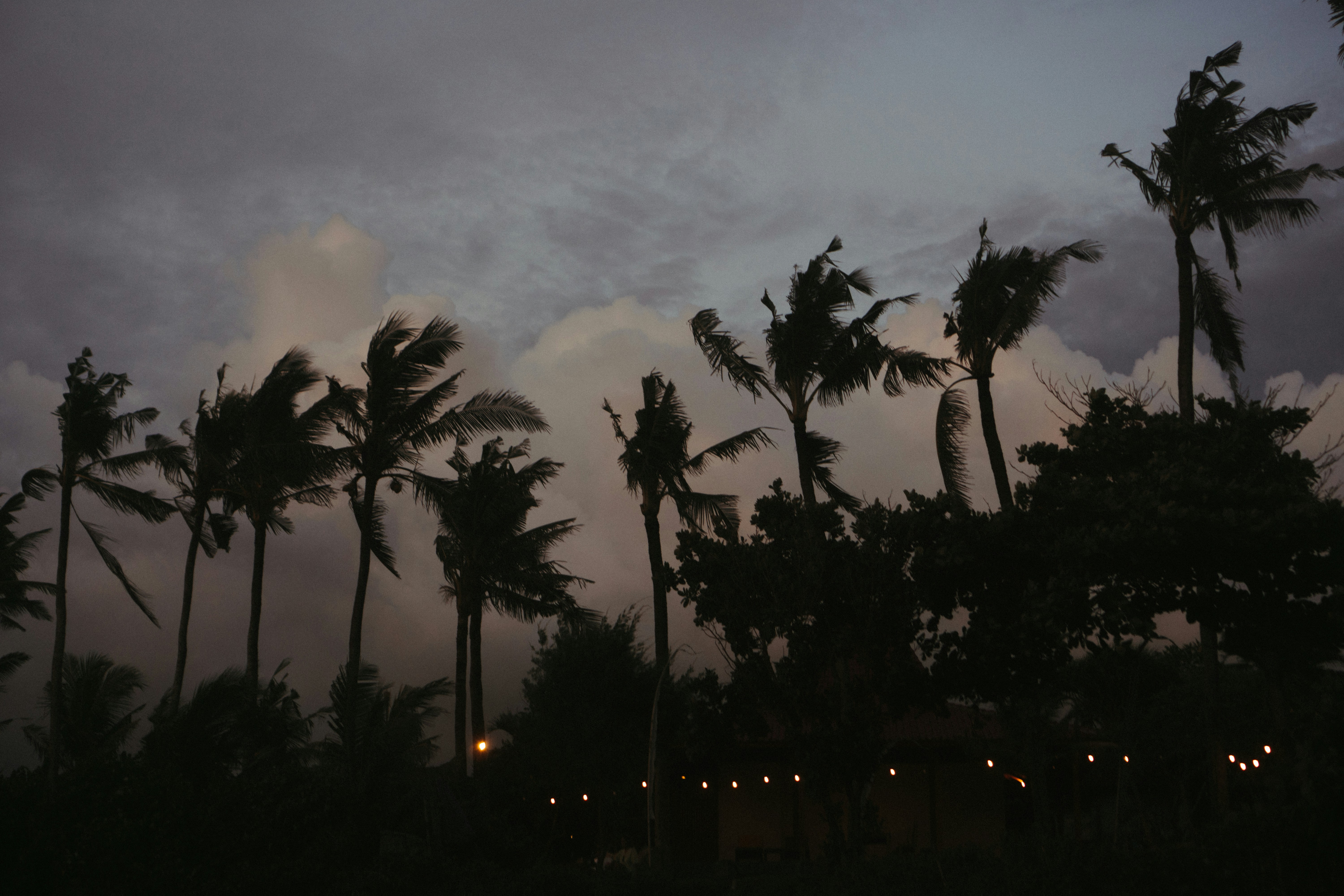 Super-strong El Niño could lead to 450K deaths. Map shows the states hit hardest