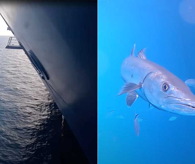 People 'terrified' after man drops GoPro under cruise ship and discovers what's underneath
