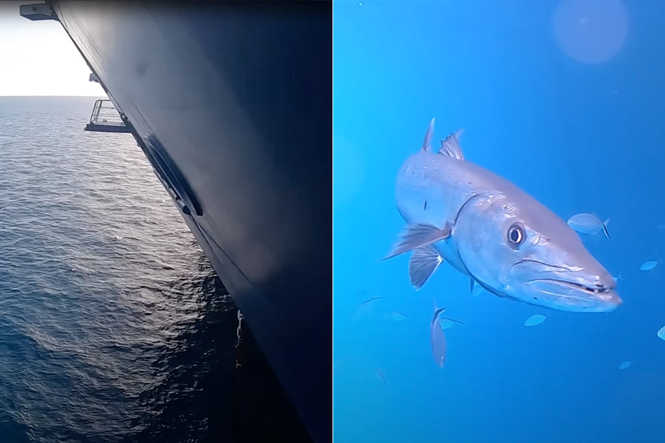 People 'terrified' after man drops GoPro under cruise ship and discovers what's underneath