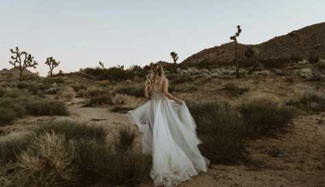 Marriage Becomes Less Common Among Young American Men