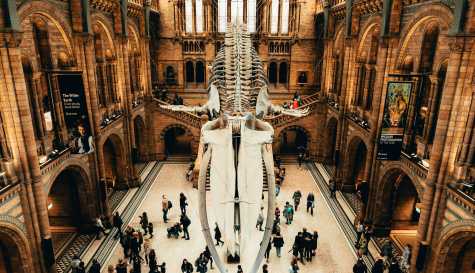 The UK government has confirmed that London's national museums will remain free for all visitors