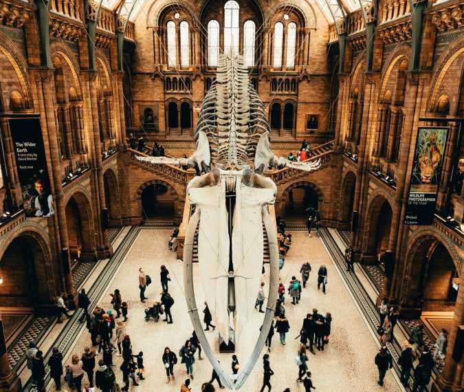 The UK government has confirmed that London's national museums will remain free for all visitors