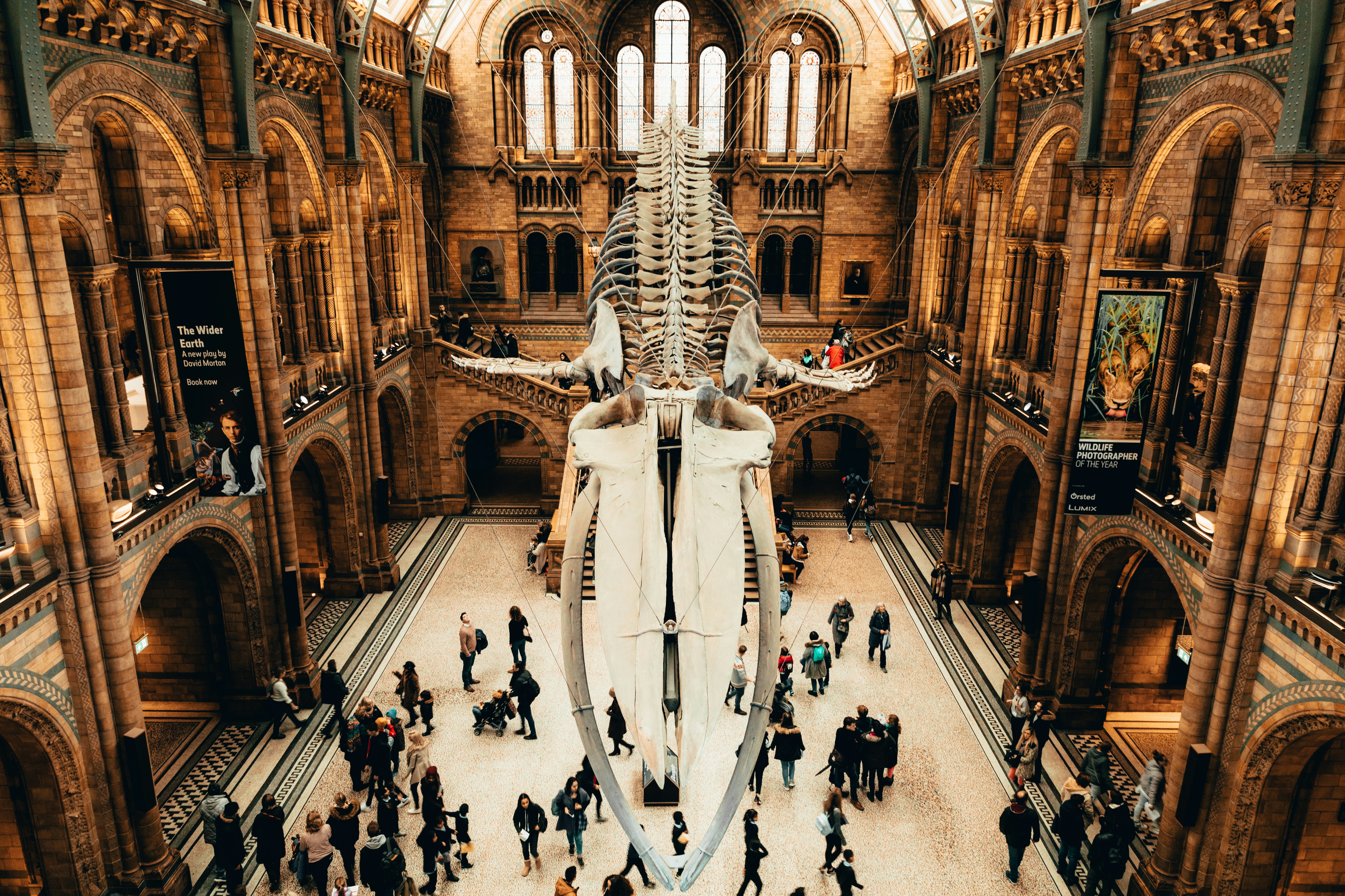The UK government has confirmed that London's national museums will remain free for all visitors
