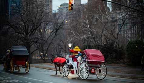 New York to ban horse-drawn carriage rides in Central Park