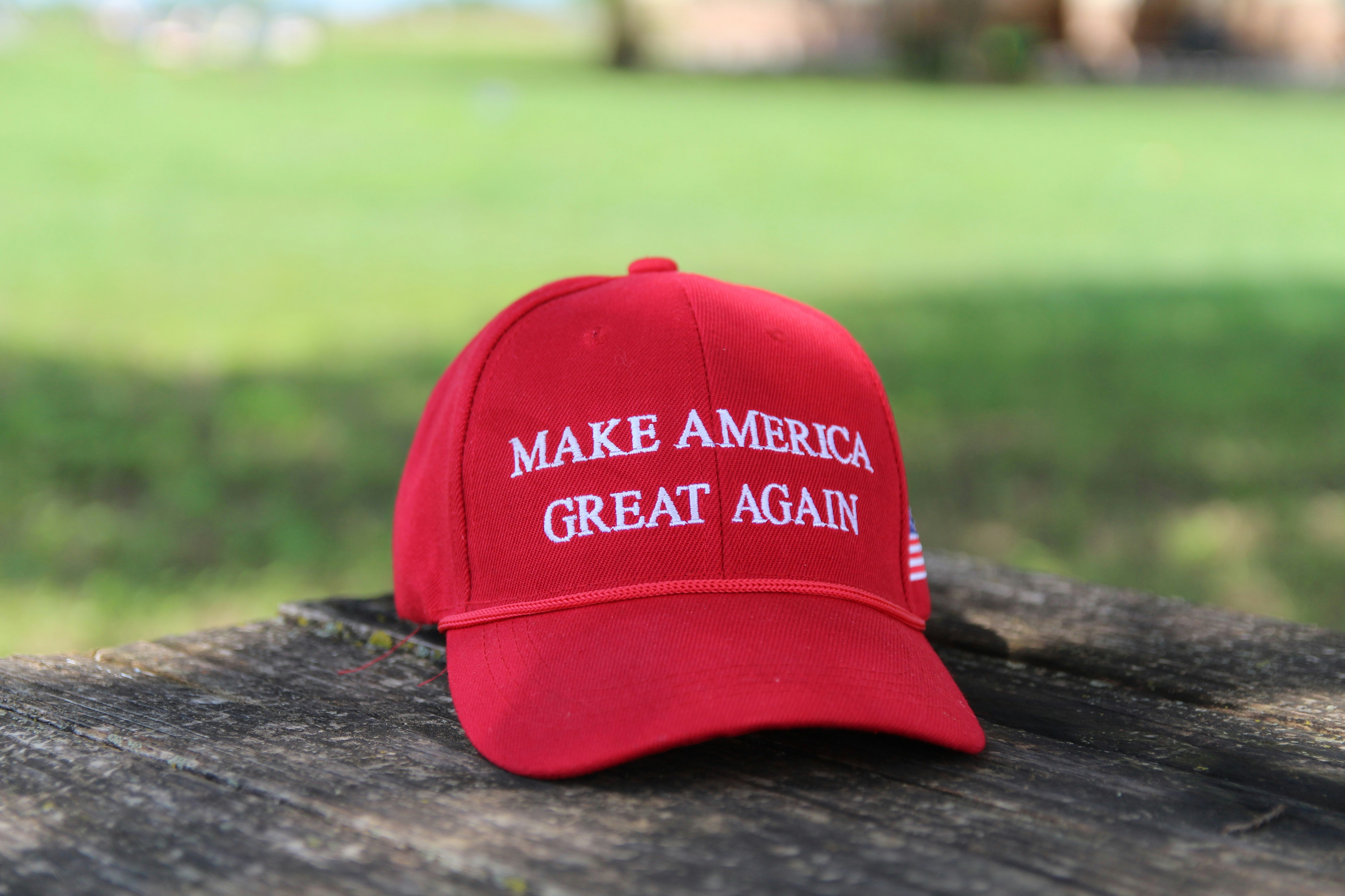 AI predicts what America would look like if Trump never ran for president and gives stunning response