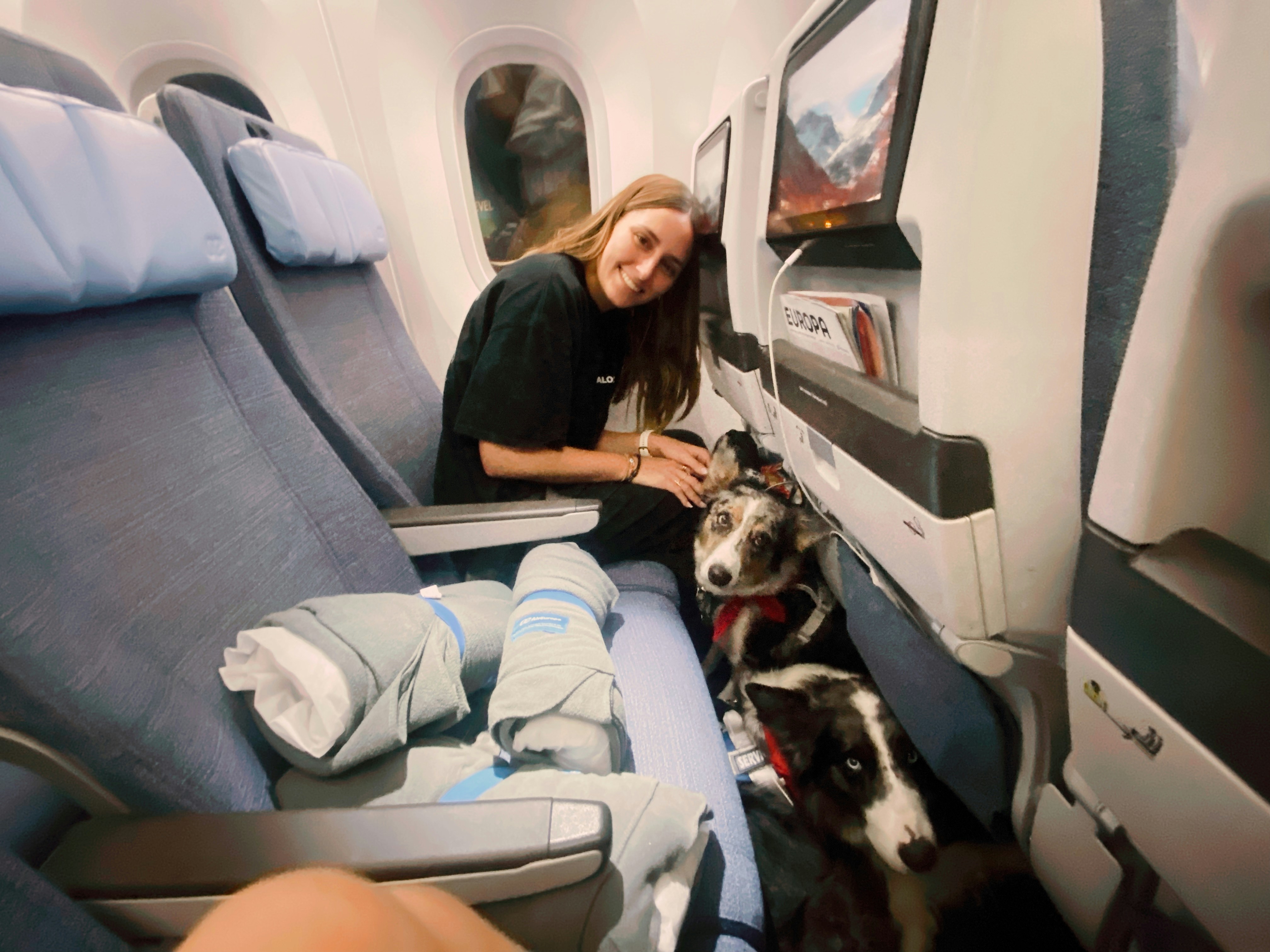 Italy just upgraded dogs to cabin class. No more cargo holds for dogs!