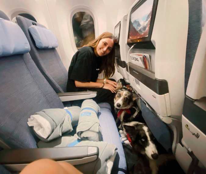 Italy just upgraded dogs to cabin class. No more cargo holds for dogs!