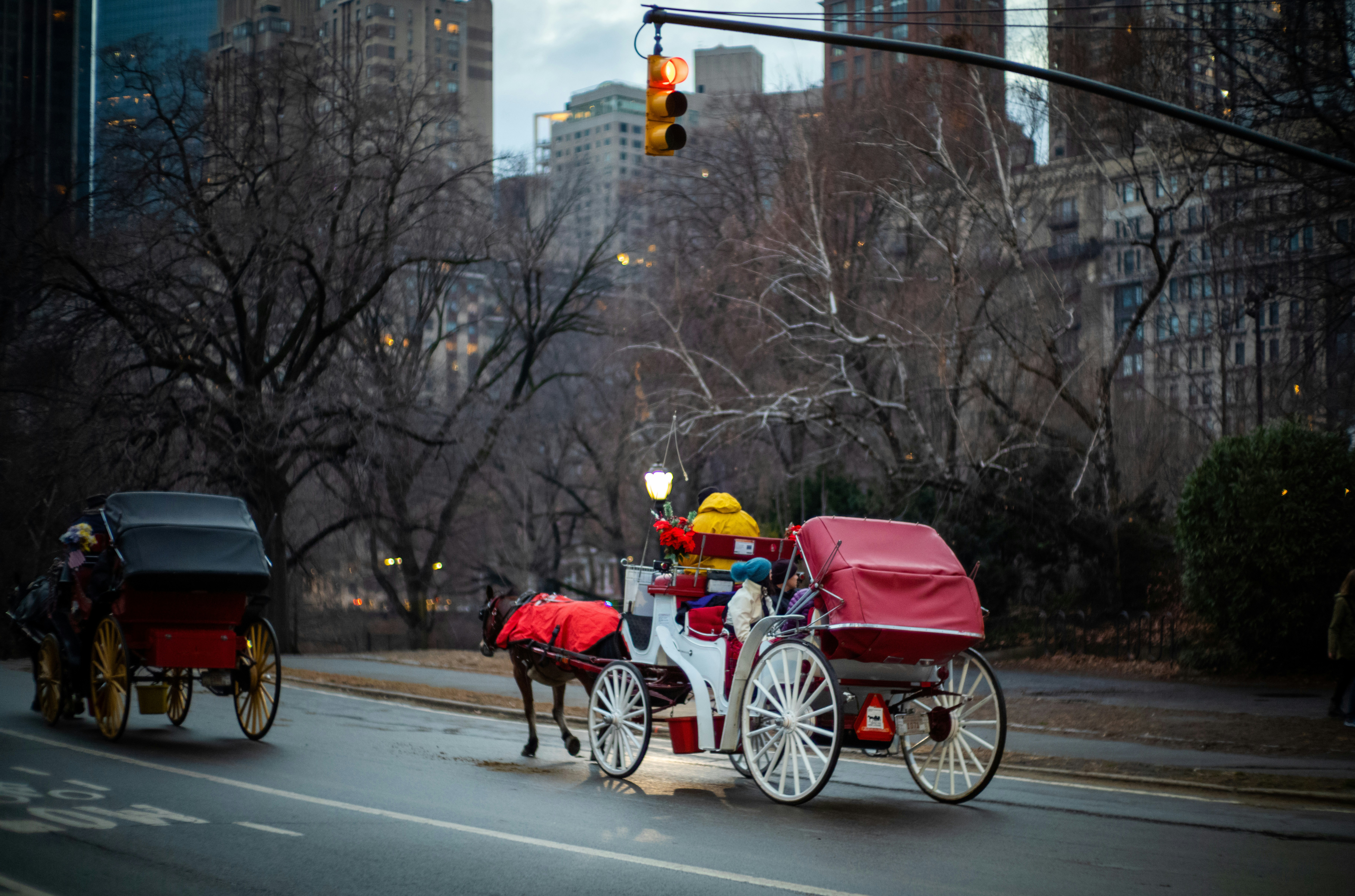 New York bans horse-drawn carriages after 160 years over safety and abuse concerns