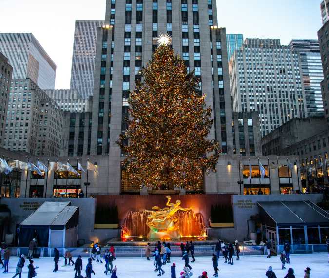 Meet the tree that will spruce up Rockefeller Center this Christmas