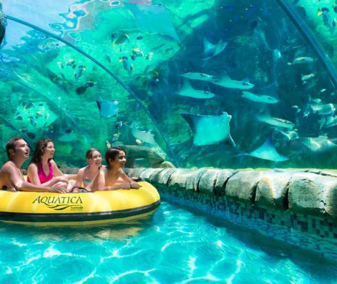 Dive into Adventure with Aquatica Texas' Aquarium Tubing