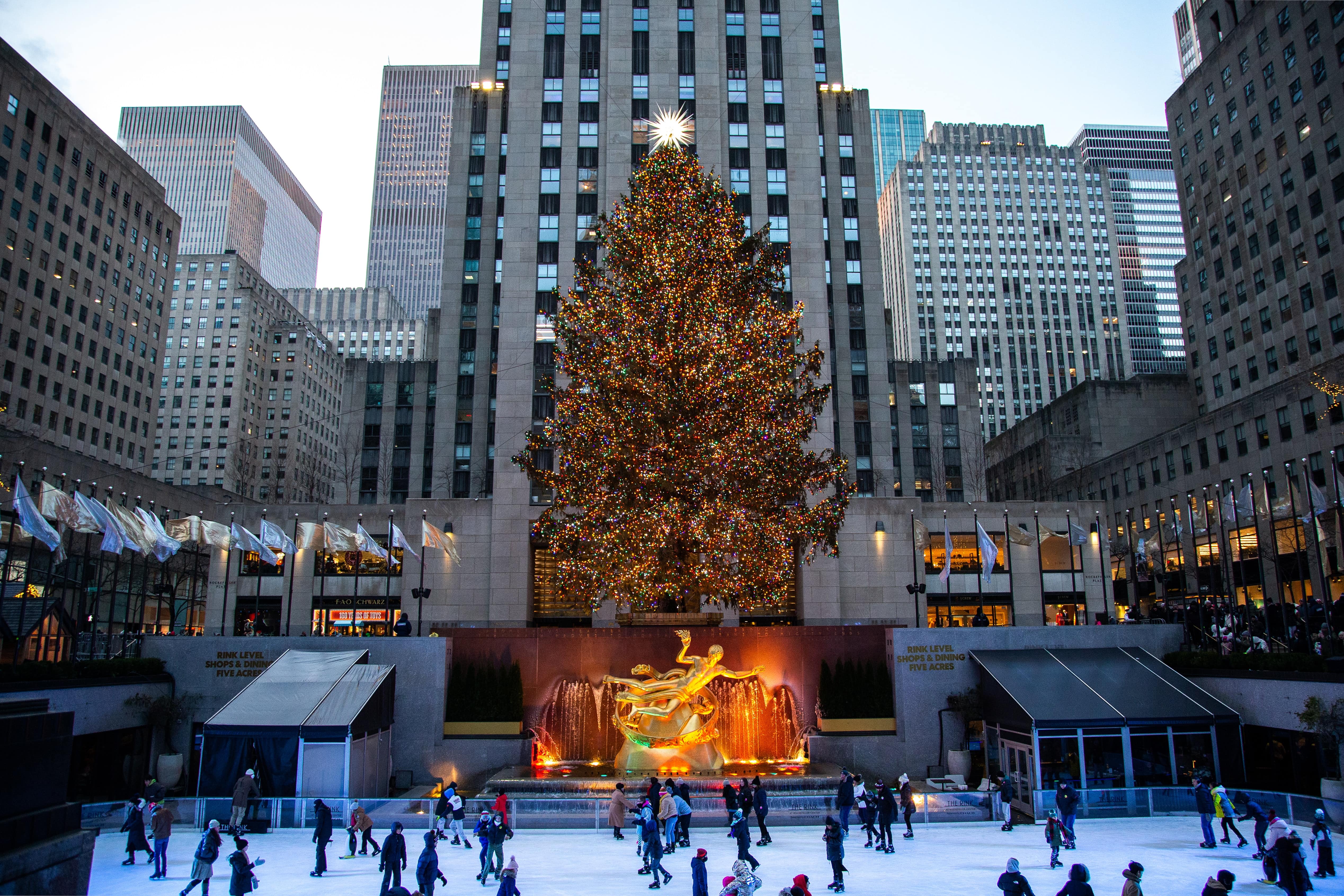 Yes, they've already picked the Rockefeller Center's giant Christmas tree for 2023