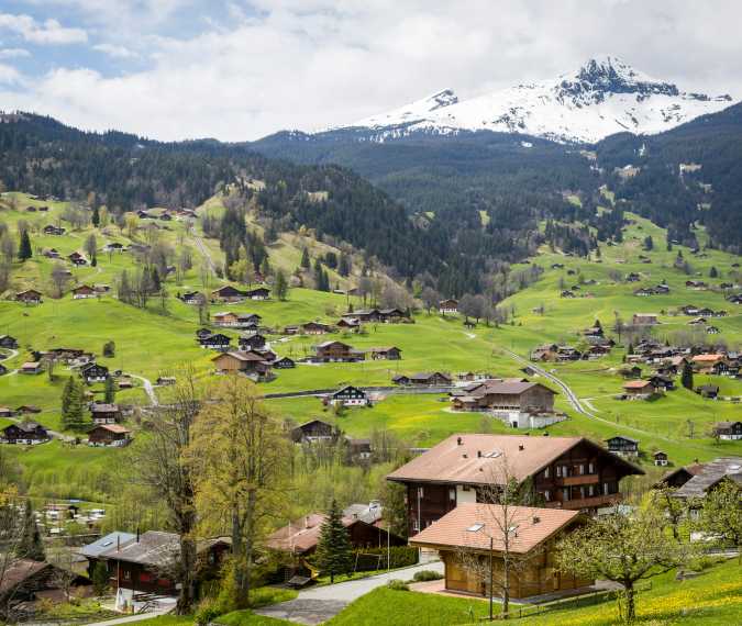 article_image