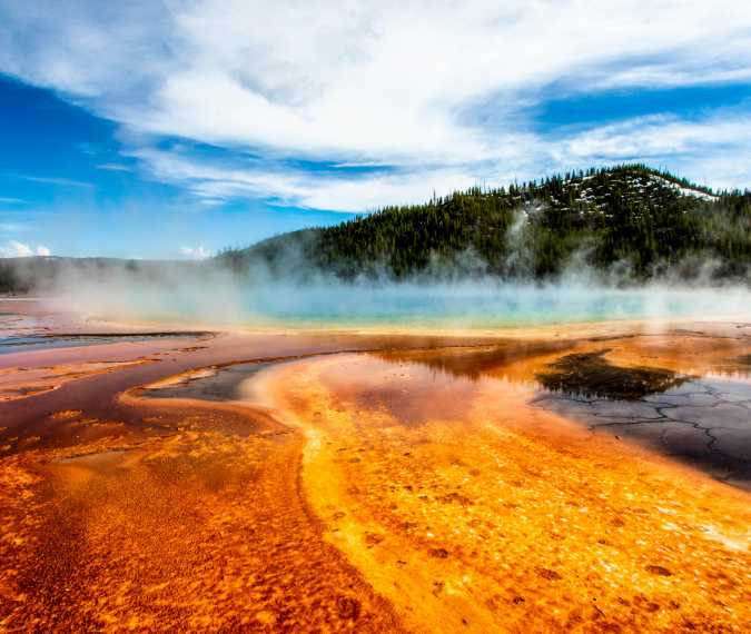 article_image