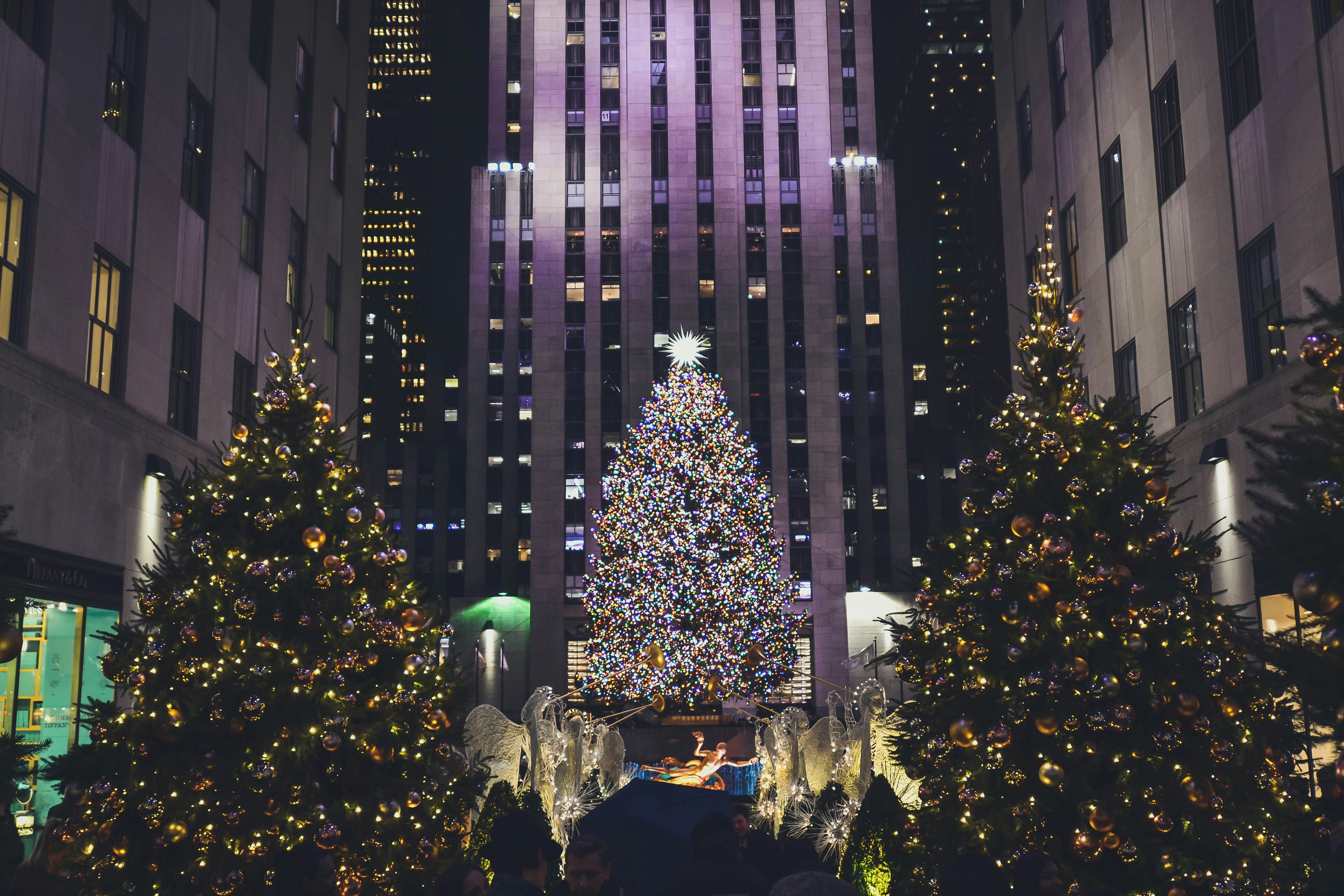 2025 Rockefeller Center Christmas tree is from New York